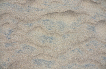 Top view, sandy beach background