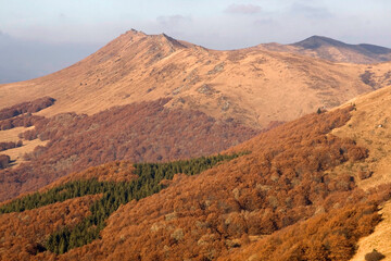 Landscape of colorful beech forest and mountain peaks, Bieszczady Mountains
