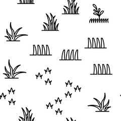 Grass Meadow Plant Vector Seamless Pattern Thin Line Illustration