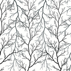 Tree branches silhouette isolated on white background. Abstract forest vector texture. Thin branches with blooming leaves. Forest background for natural design. Young deciduous trees.
