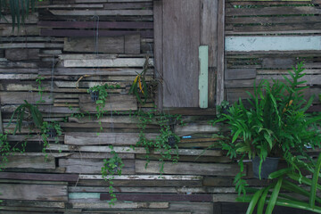 Wooden wall decorated with ornamental plants
