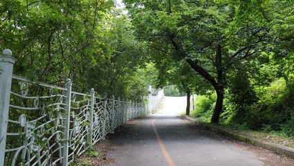 path in the park