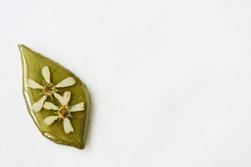 Green leaf with white flowers filled with epoxy resin on a white textile background, top view. The basis for a pendant or earrings. Handmade jewelry in the manufacturing process
