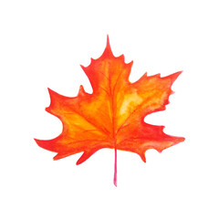watercolor bright autumn leaf