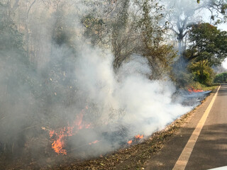 Smoke from forest fire beside road,dry grass burn with fire and smoke