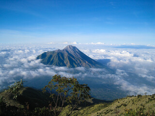 Plakat The landscape of Mount Merapi in Central Java, Indonesia, with a background of blue sky, edelweiss trees and clouds