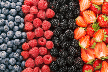 Berries overhead closeup colorful assorted mix of strawberry, blueberry, raspberry, blackberry, top view