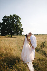 Back view of wedding couple walk to big tree in field. Groom and bride outdoors. Summer wedding