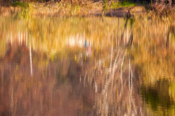 Colorful autumn forest with reflection in water of calm lake.