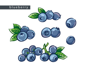 sketch_blueberry_set
