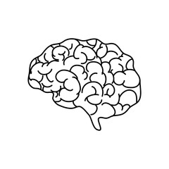 profile of human brain icon, line style