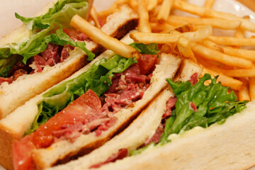 Close-up of Pastrami Sandwich with the fries