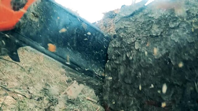 Close up of a chainsaw cutting wood with sawdust