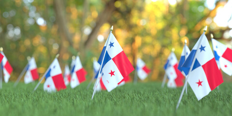 Flags of Panama in the grass. National holiday related 3D rendering