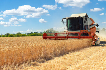 Scenic front view Big powerful industrial combine harvester machine reaping golden ripe wheat...