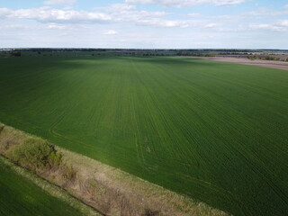 A dry irrigation canal in a sown field, aerial view. Farmland landscape.