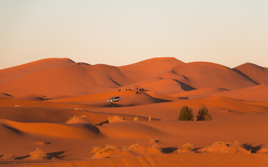 Landscape of the Erg Chebbi desert dunes in Merzouga, Morocco at sunrise with tour cars with tourists in the background © Gustavo Muñoz