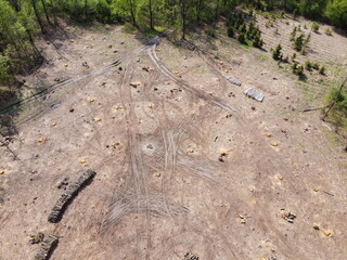 A place of felling of trees, aerial view. Logging site.