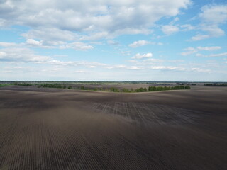 Fototapeta na wymiar Trees along an irrigation canal on a plowed field top view. Farmland.