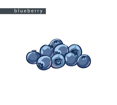 sketch_blueberry_a_small_bunch