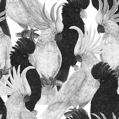 Watercolor painting seamless pattern with black and white cockatoo parrots © ramiia