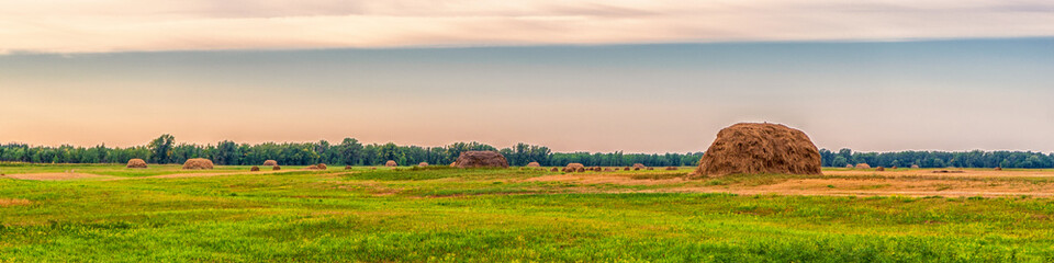 Picturesque panoramic summer landscape with beveled meadow and haystacks in cloudy morning. Hay harvest at farmland. Beautiful agricultural background