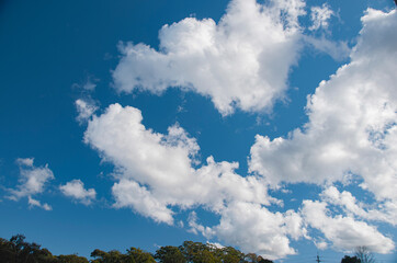 Atmospheric sky art image. White Cumulus cloud in blue sky. Australia.