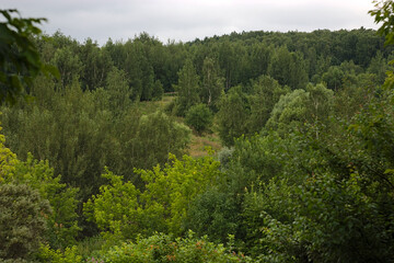 summer green landscape on the outskirts of the city