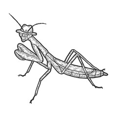 European mantis, intelligent insect in a hat. Sketch scratch board imitation.
