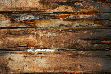 Grunge background with rotted very old boards
