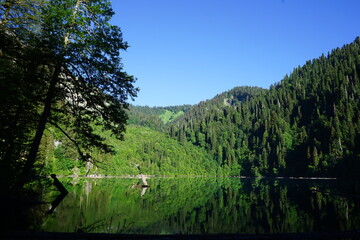 Lake in the mountains
