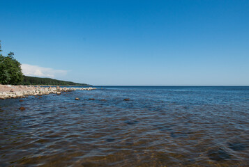 seagulls on the bay beach