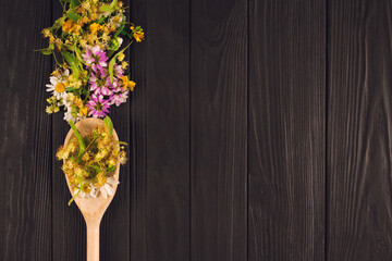 Linden flowers and leaves, chamomile, clover and hypericum in wooden spoon - on natural black wooden background, with copyspace for text. Preparing for herbal tea. Alternative folk medicine concept