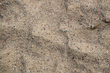 sand texture background	