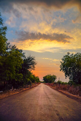 Horizontal photo of country road with sunset in background. Grey road with trees on both sides and clear colorful evening sky without any vehicles.
