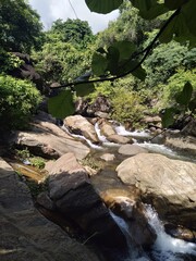 Waterfall in the forest