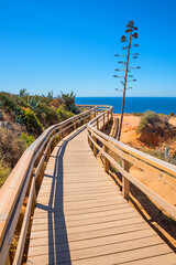 wooden boardwalk at mediterranean coast lagos, with agave plant