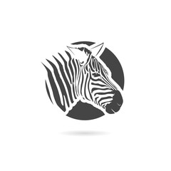 Fototapeta na wymiar Zebra icon with shadow