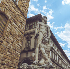 David di Michelangelo Piazza Della Signoria in Florence.