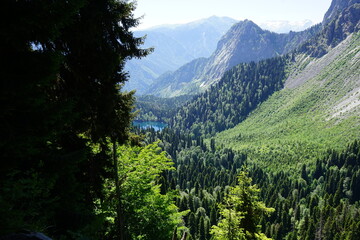 Lake in the mountains