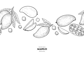 Vector frame with mango. Hand drawn. Vintage style