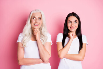 Portrait of two nice-looking attractive lovely charming pretty foxy funny cheerful cheery women business businesswoman creating new idea isolated over pink pastel color background