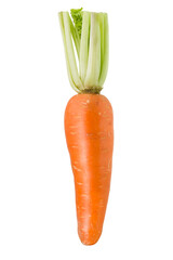 Carrot on white background