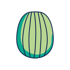 whole watermelon icon, line fill style