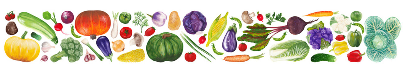 hand drawn fresh vegetables in peel with tops and leaves isolated on white. Raster collection of realistic vegetables painted in gouache lined in rectangular shape / border