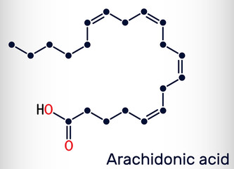 Arachidonic acid, AA, ARA molecule. It is unsaturated omega-6 fatty acid, is precursor in biosynthesis of prostaglandins, thromboxanes, leukotrienes. Skeletal chemical formula