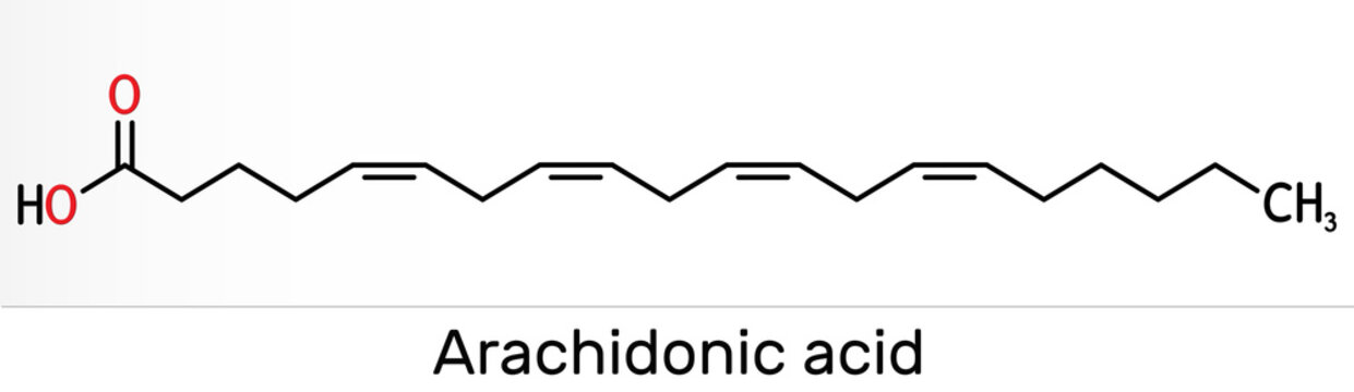 Arachidonic acid, AA, ARA molecule. It is unsaturated omega-6 fatty acid, is precursor in biosynthesis of prostaglandins, thromboxanes, leukotrienes. Skeletal chemical formula