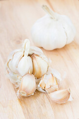 Organic garlic whole and cloves on the wooden background