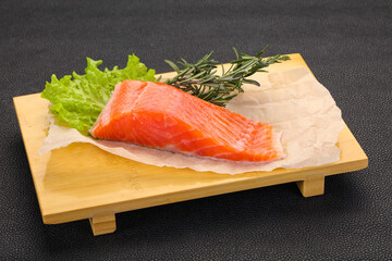 Piece of raw salmon