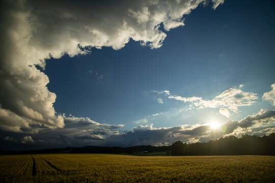 Coucher de soleil sur l'orge.